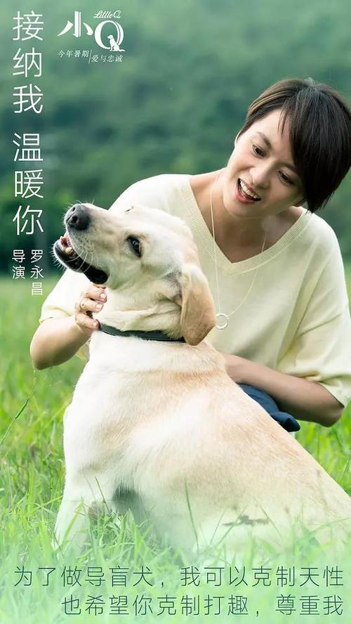 贡比涅技术大学Economics Degree Certificate